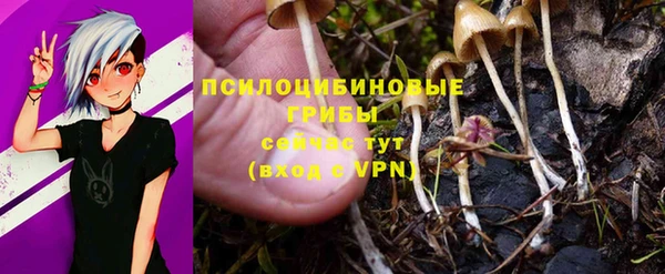 не бодяженный Володарск